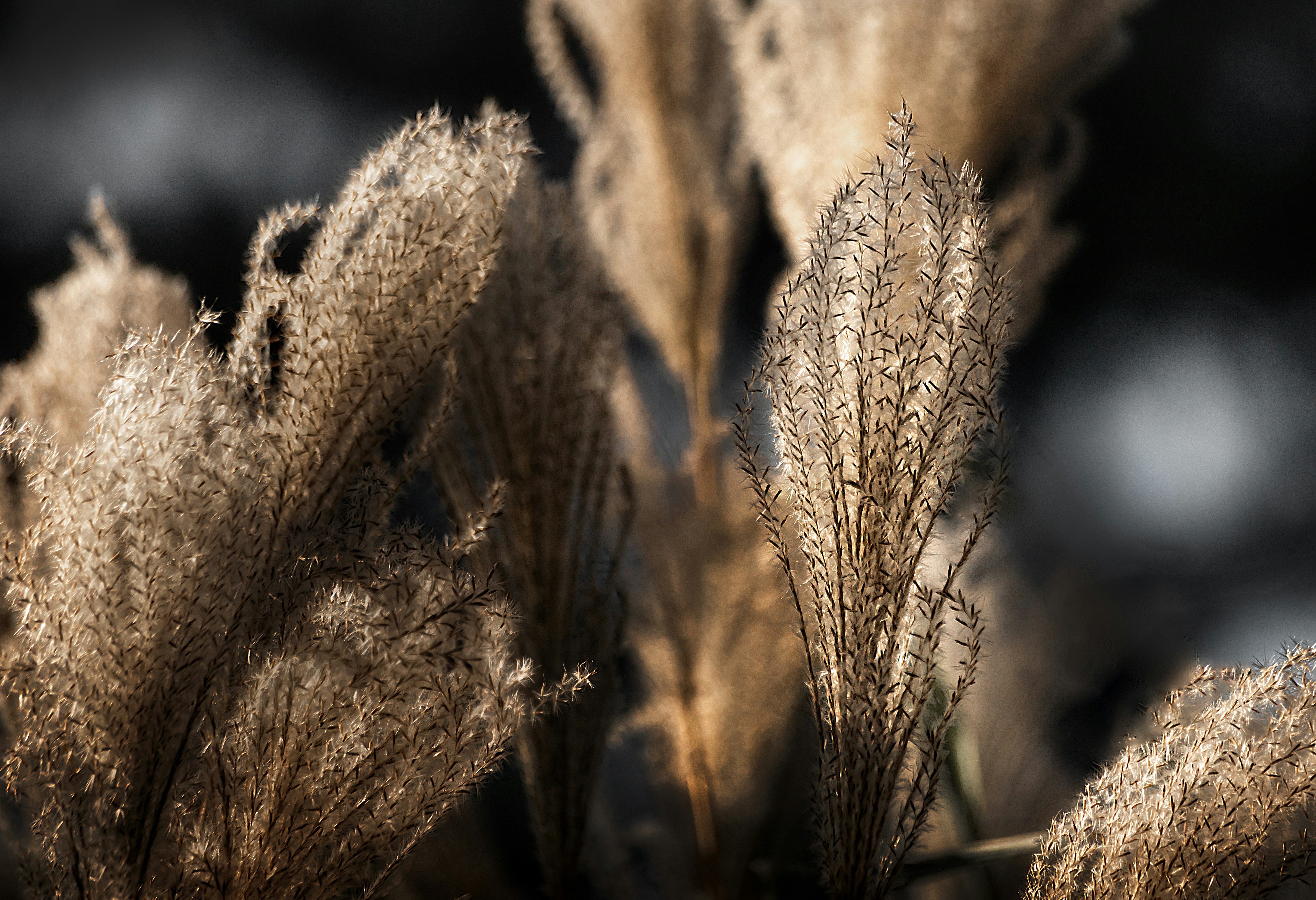 Photo by arizonanthony