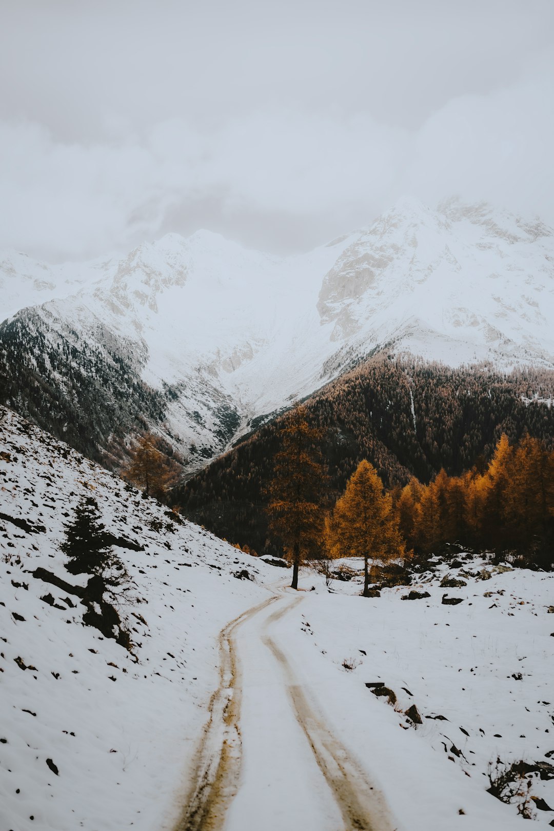 snow covered mountain during daytime