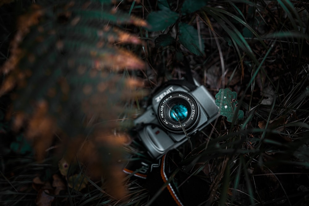 black and silver dslr camera on green plants