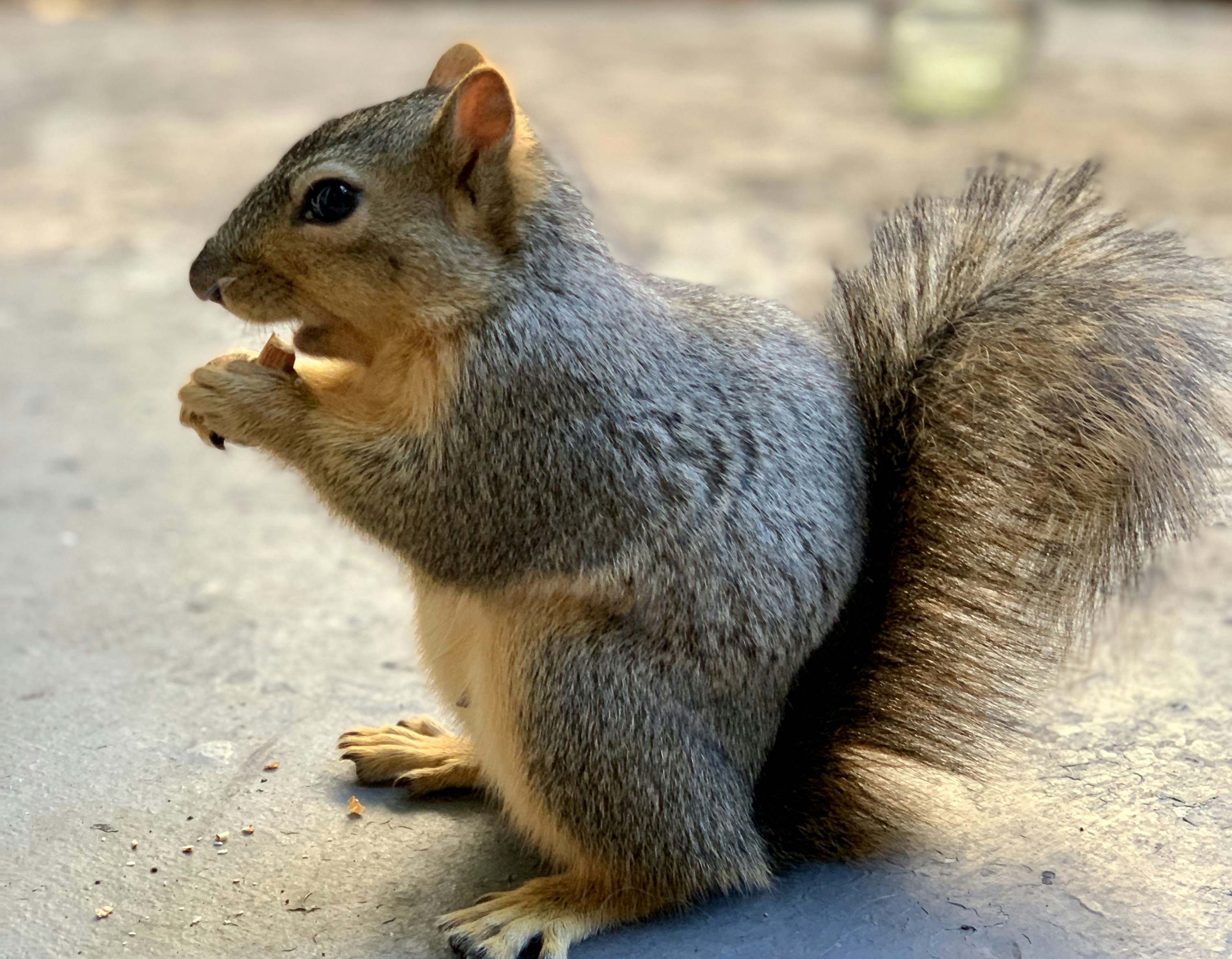 The Optimism Trap: Why Your Timelines Are Always Wrong