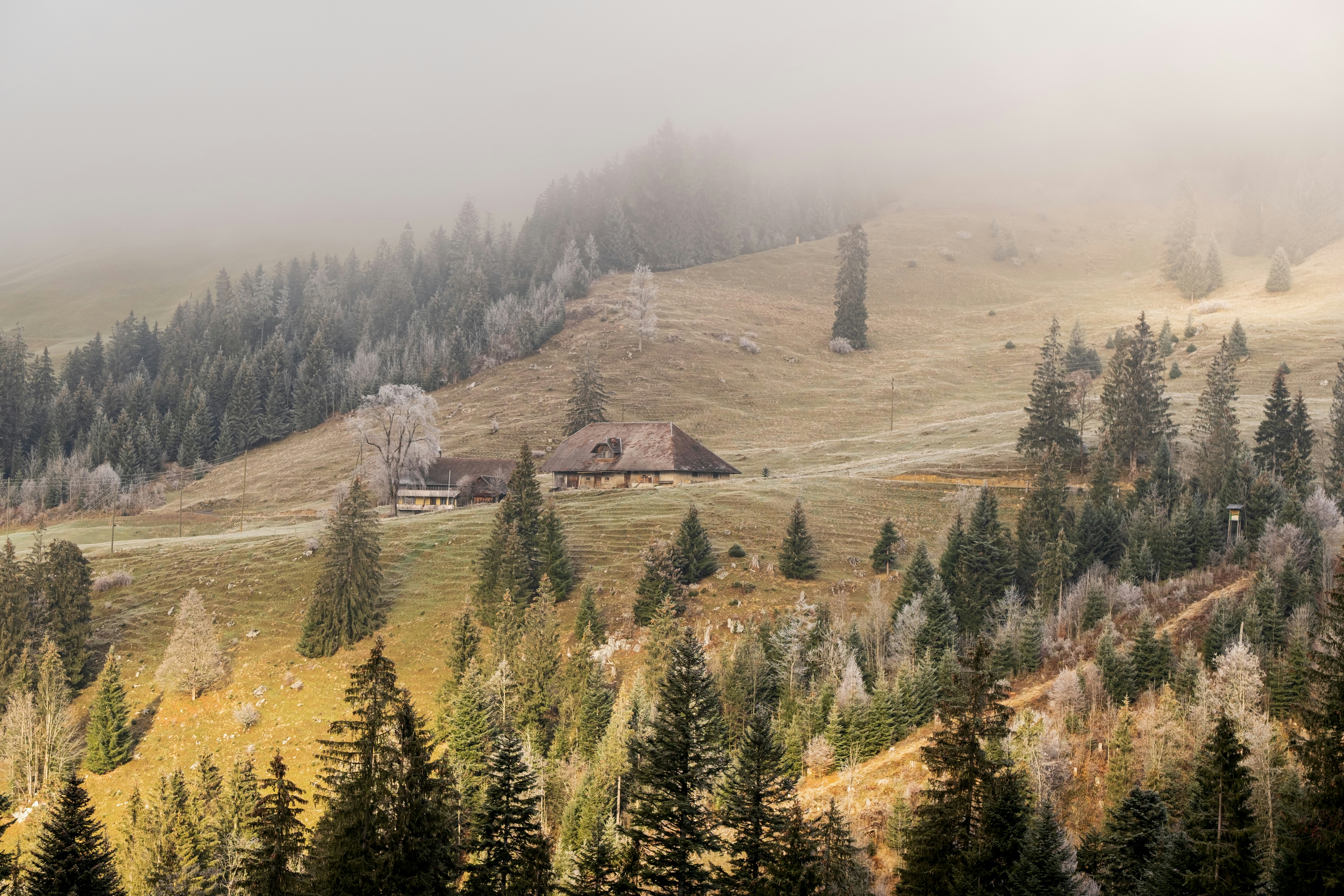 Paul Sarbanes, 87, Dies; Maryland Senator Fought Accounting Fraud