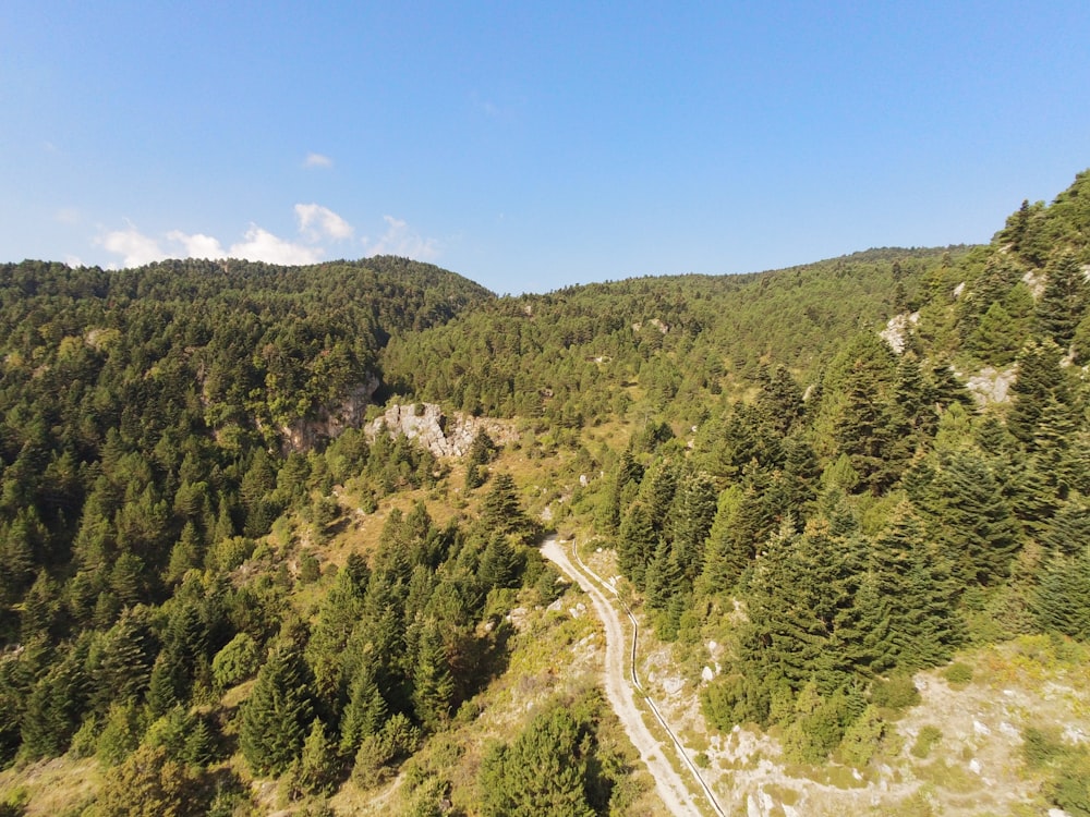 Grüne Bäume am Berg unter blauem Himmel tagsüber