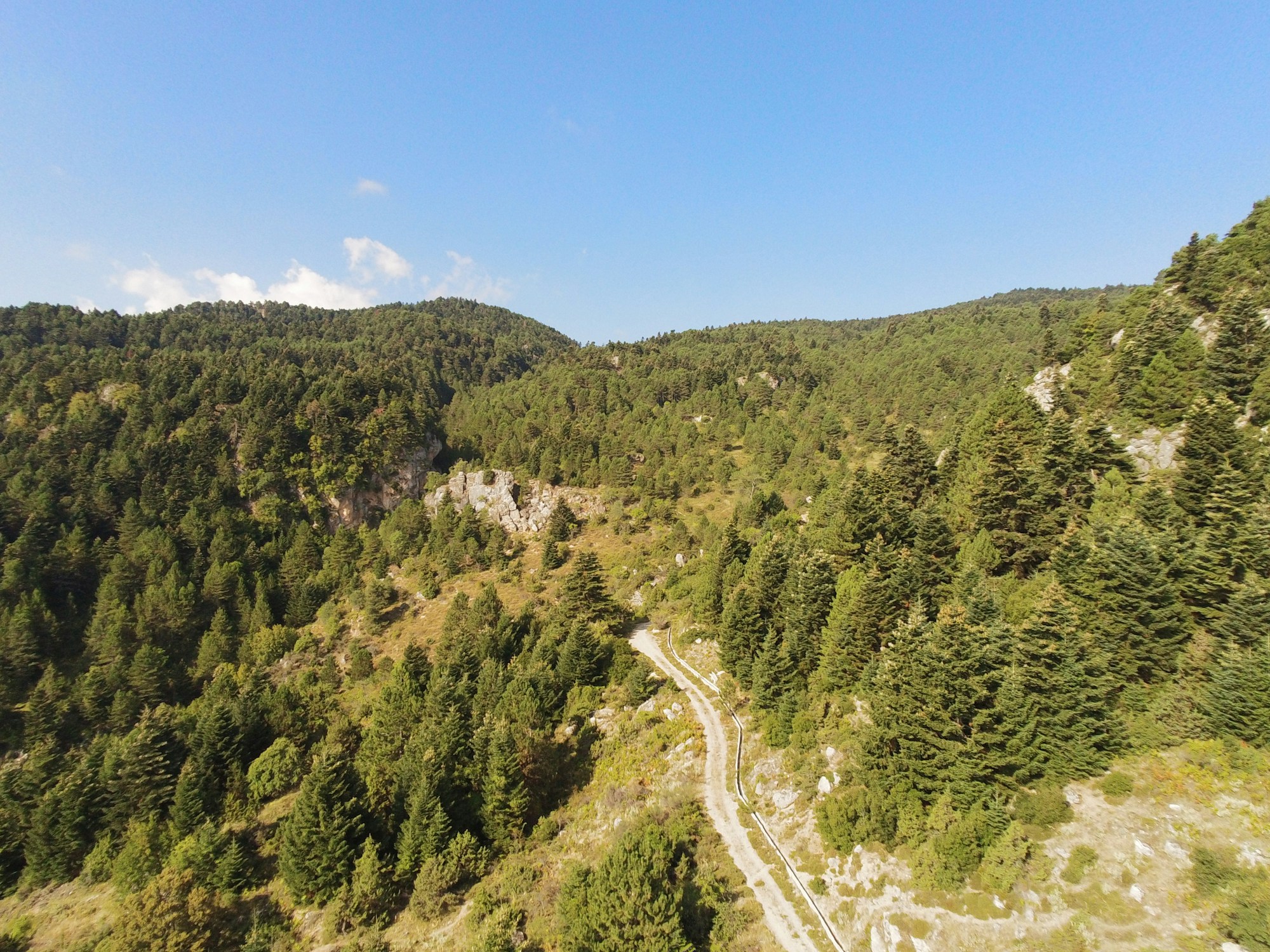Best Time to Visit Trikala: Weather and Seasons Guide