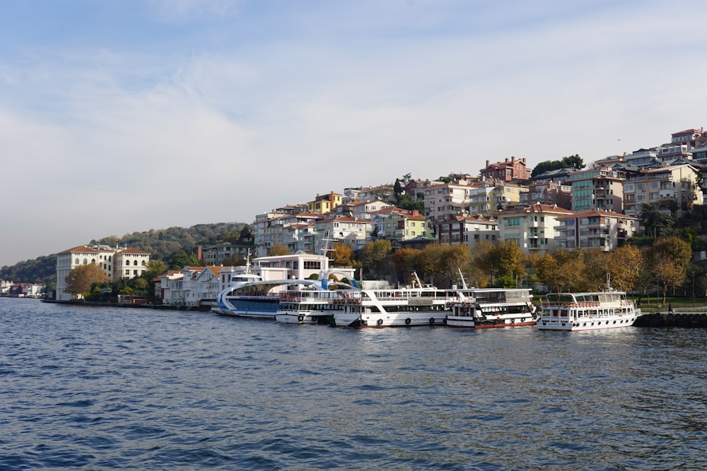 white and blue boat on water near city buildings during daytime