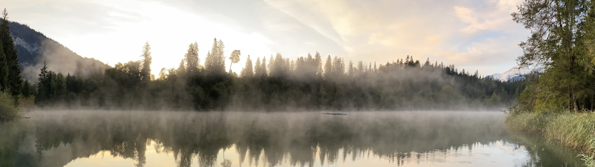 A serene mountain lake at dawn with soft sunlight filtering through tall pine trees.
