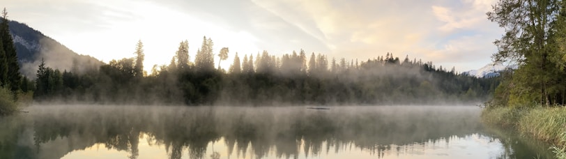 A misty morning at a serene mountain lake surrounded by pine trees.