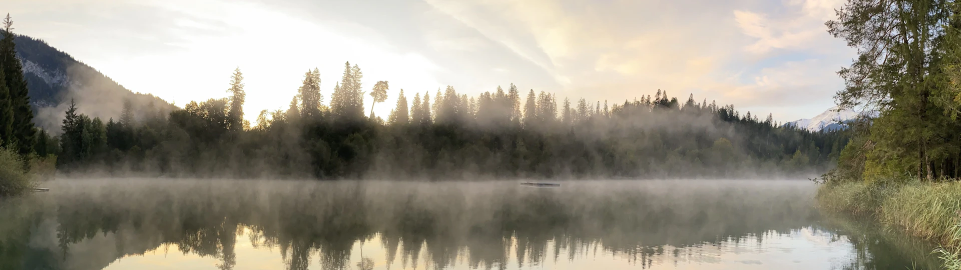 A serene mountain lake at dawn, with mist rising gently from the water and pine trees lining the shore.