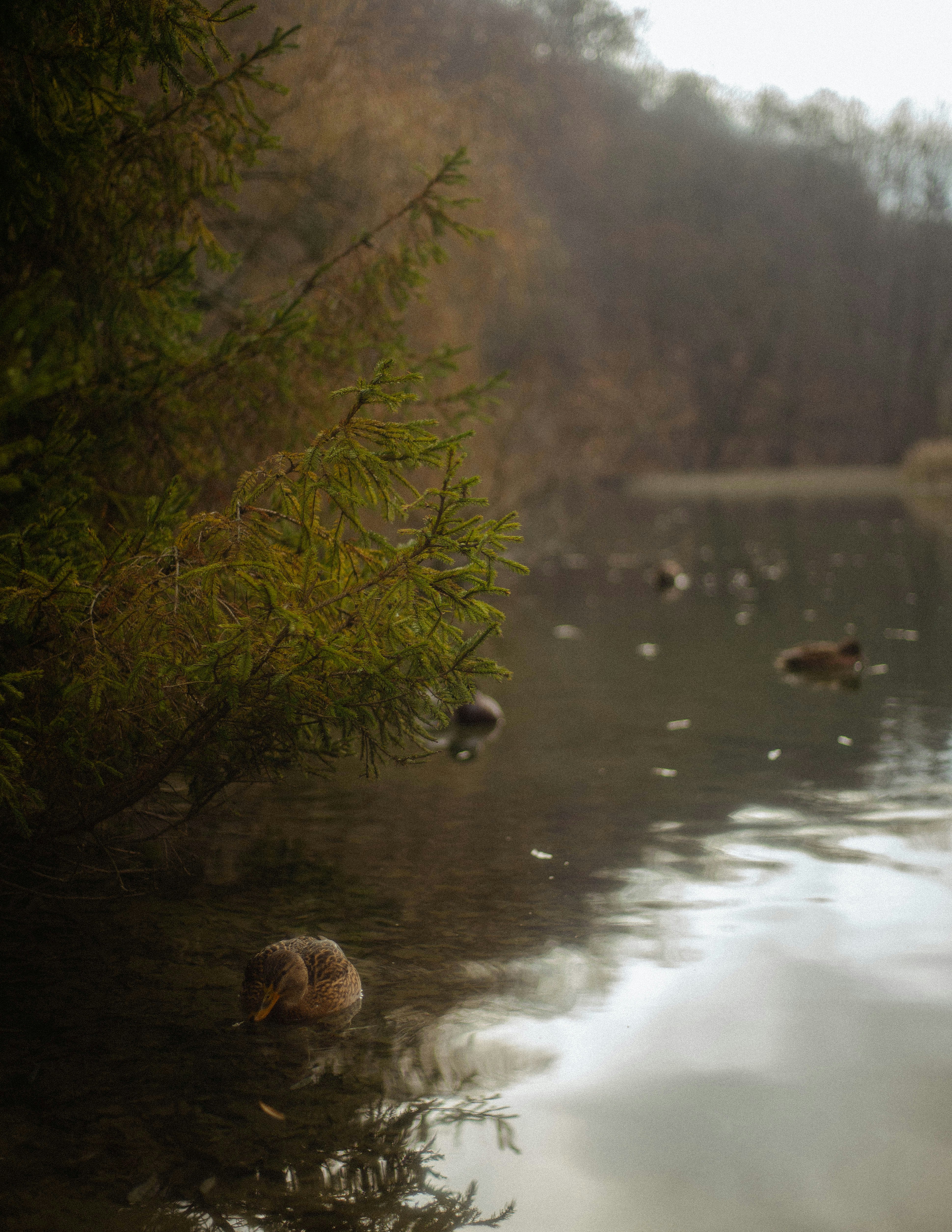 Photo by babigraf