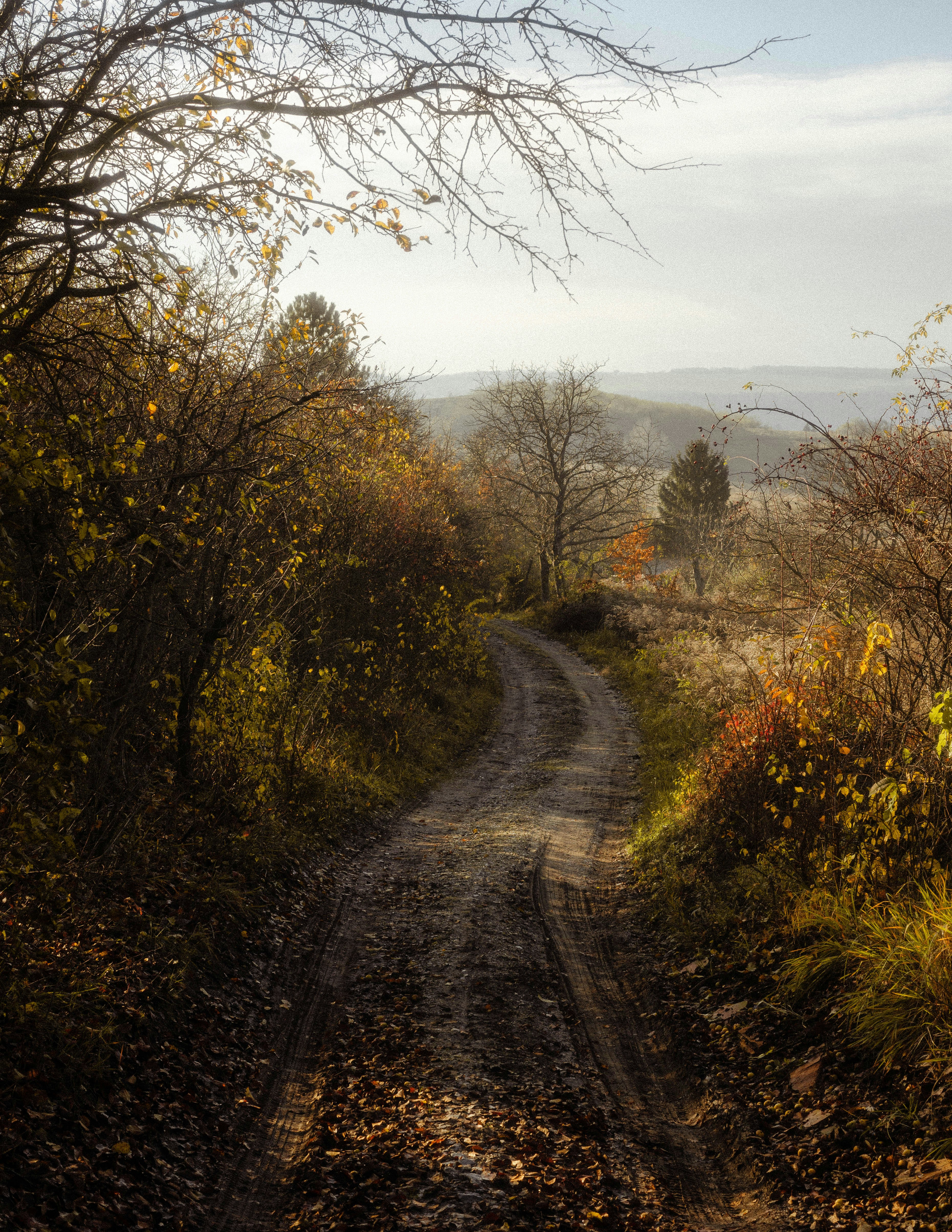 Photo by babigraf