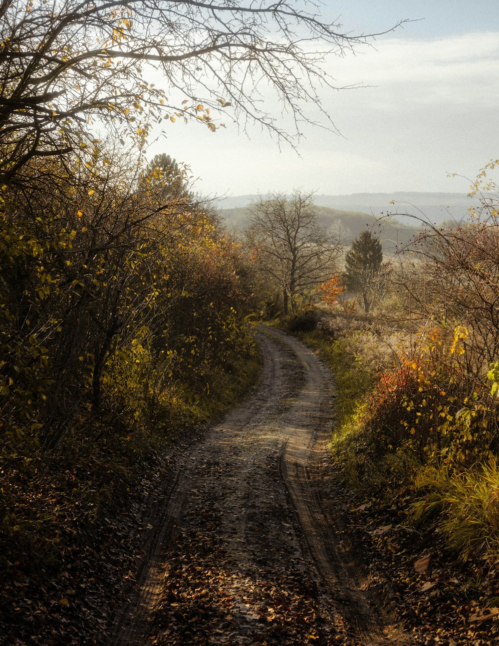 gray asphalt road between green grass field during daytime