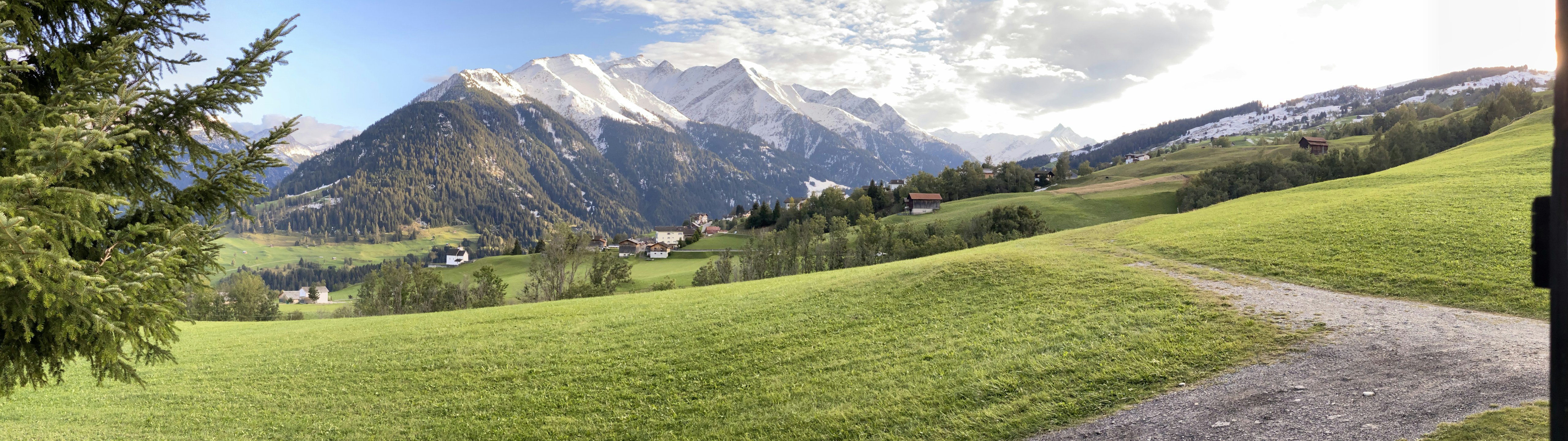 Grünes Grasfeld in der Nähe des schneebedeckten Berges tagsüber