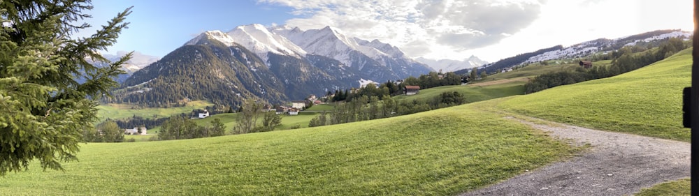 Grünes Grasfeld in der Nähe des schneebedeckten Berges tagsüber