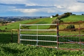 Picture of rural land with green pastures and a rustic fence.