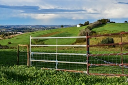 Picture of rural land with green pastures and a rustic fence.