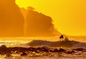 A surfer skillfully rides a wave against a backdrop of large cliffs bathed in warm golden sunlight. The scene captures the dynamic motion of the surfer mid-air above the water. The ocean is calm with gentle waves, reflecting the orange and yellow hues of the sunset.