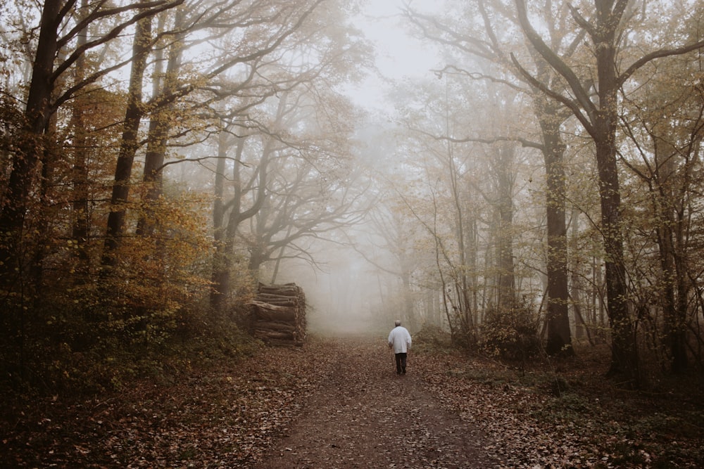 person in white jacket walking on dirt road between trees during daytime