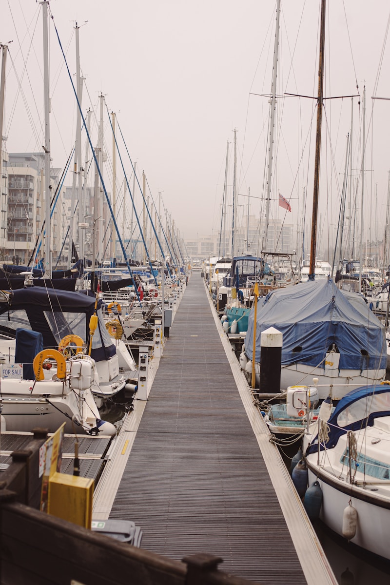 Agent / Agente de port de plaisance