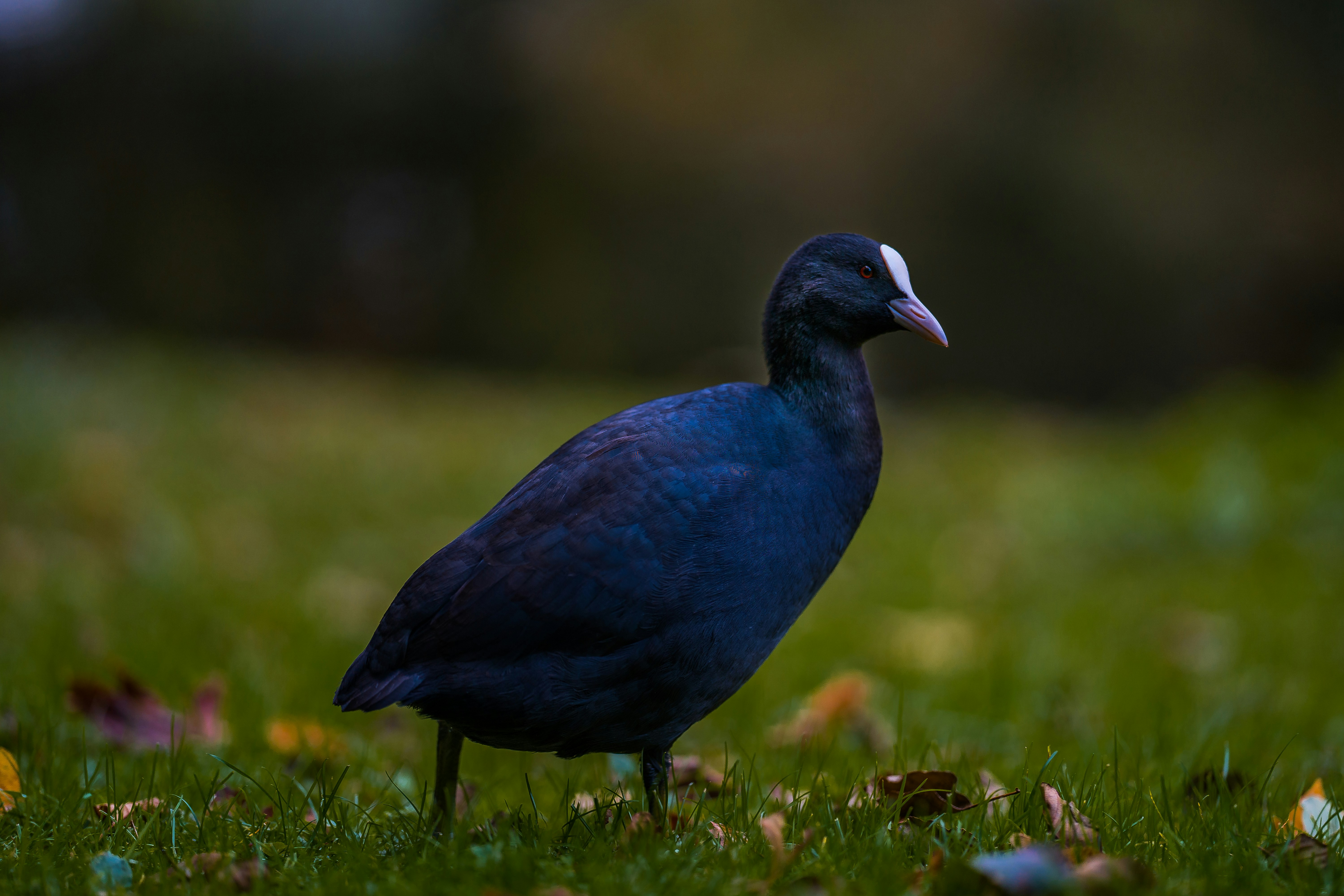 Photo by omarvellous14