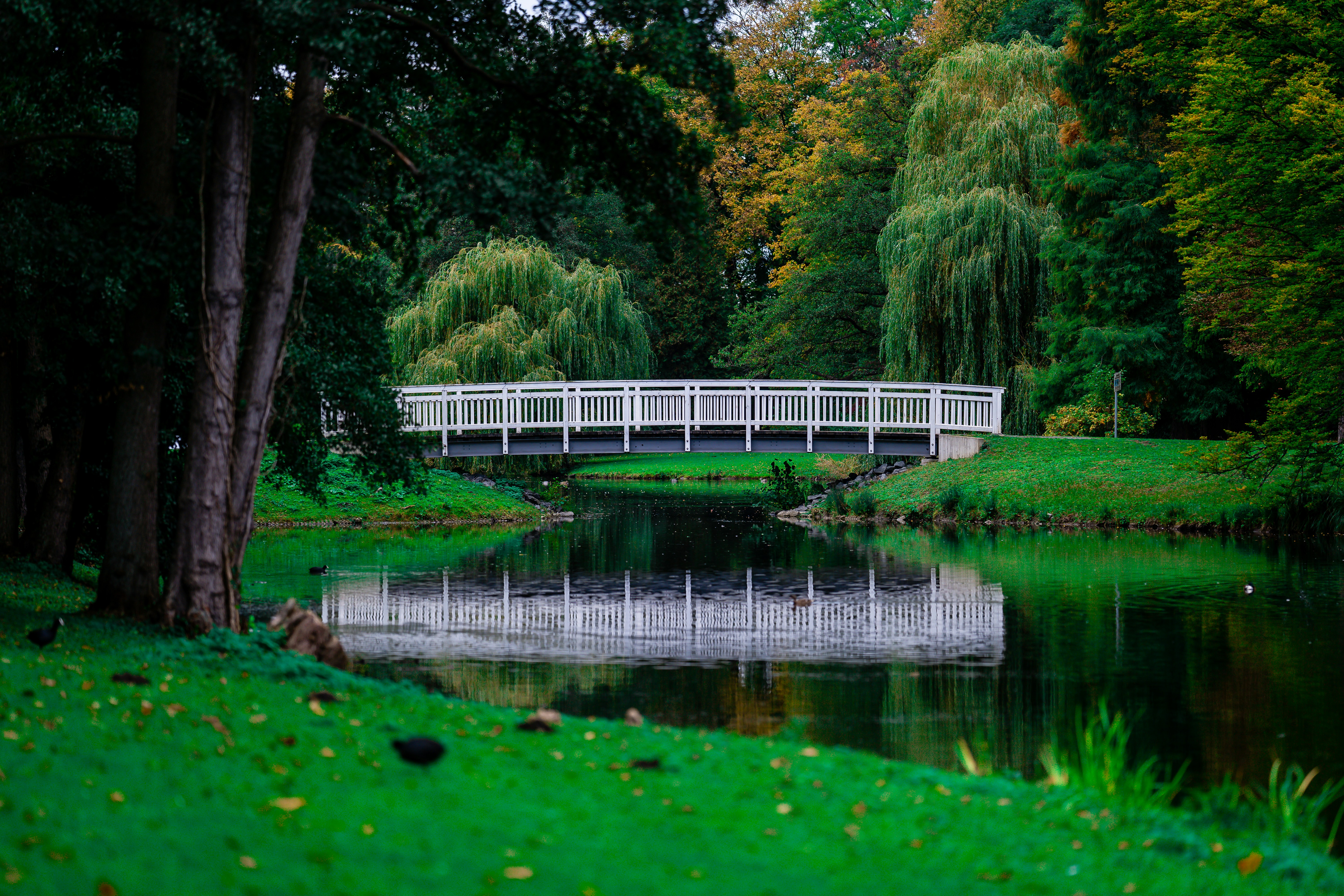 Photo by omarvellous14