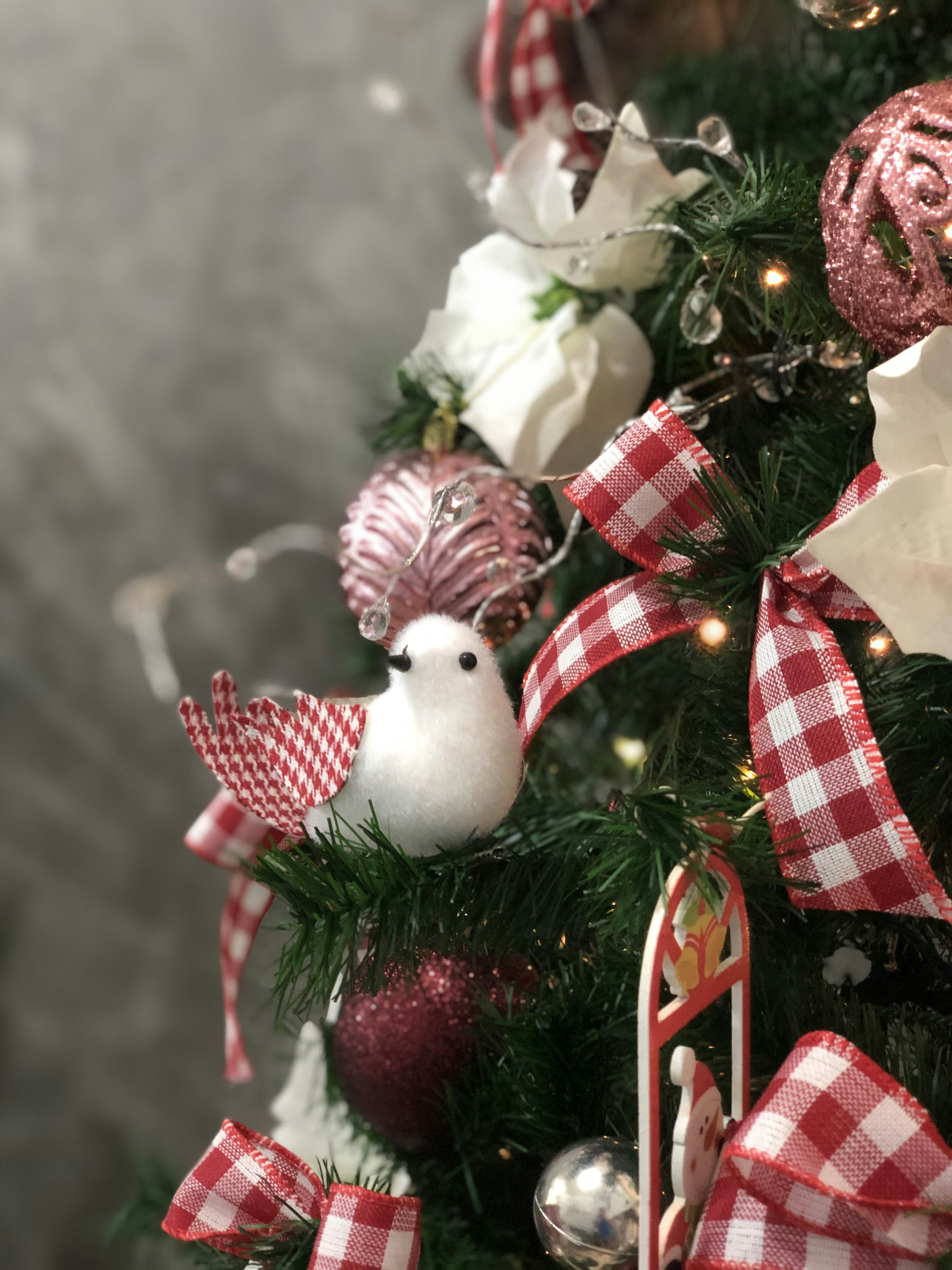 Photo by edersampaio