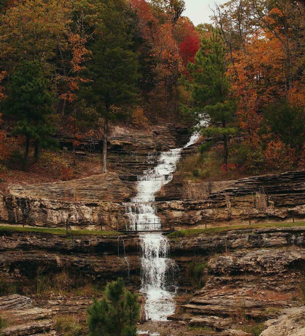 water falls in the middle of forest