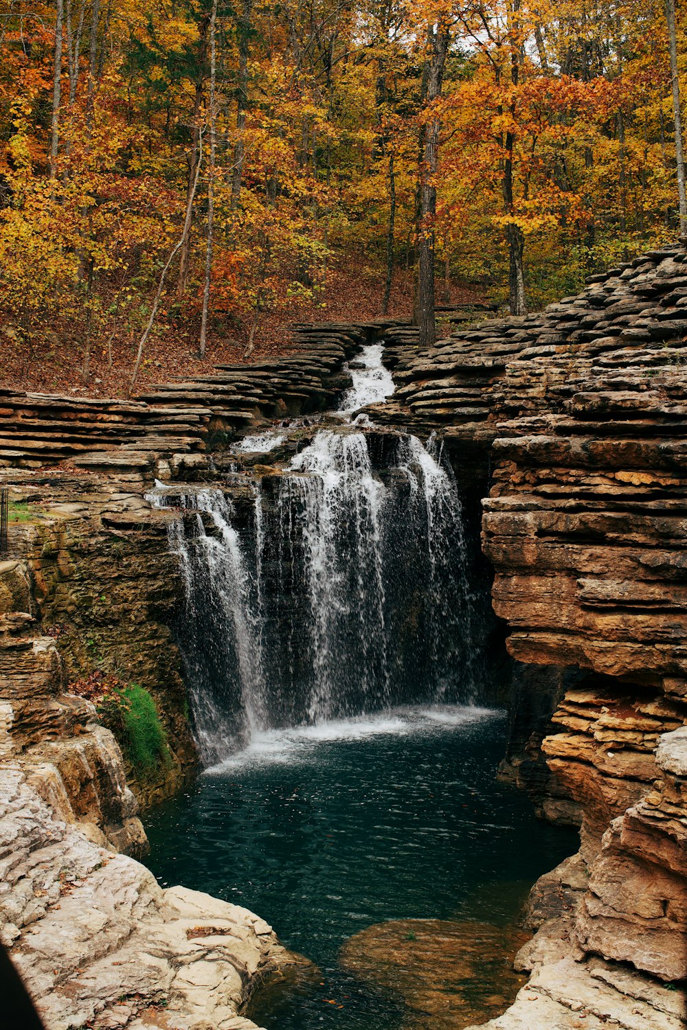 waterfalls in the middle of the forest