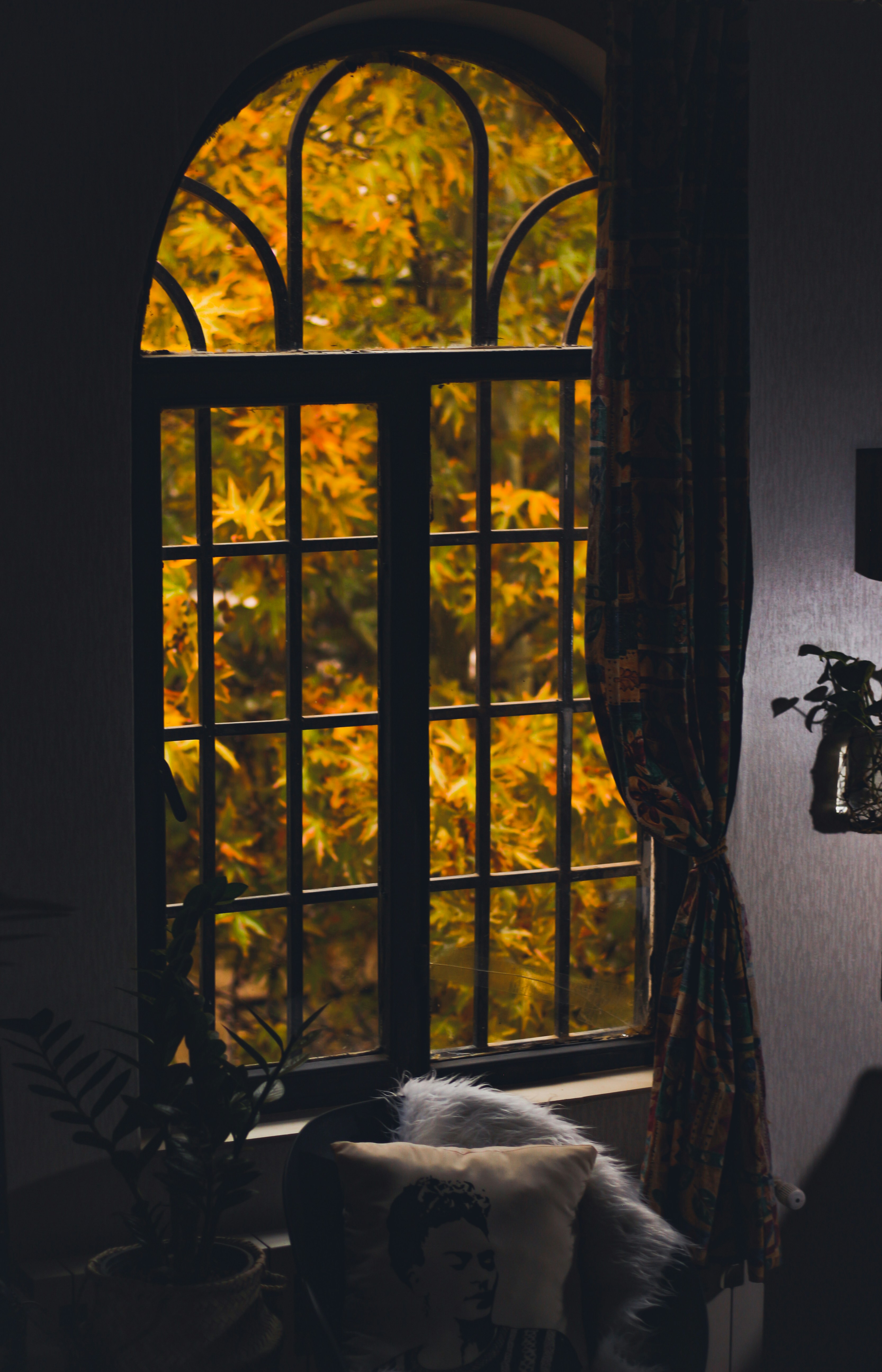 Photo by nasimkeshmiri