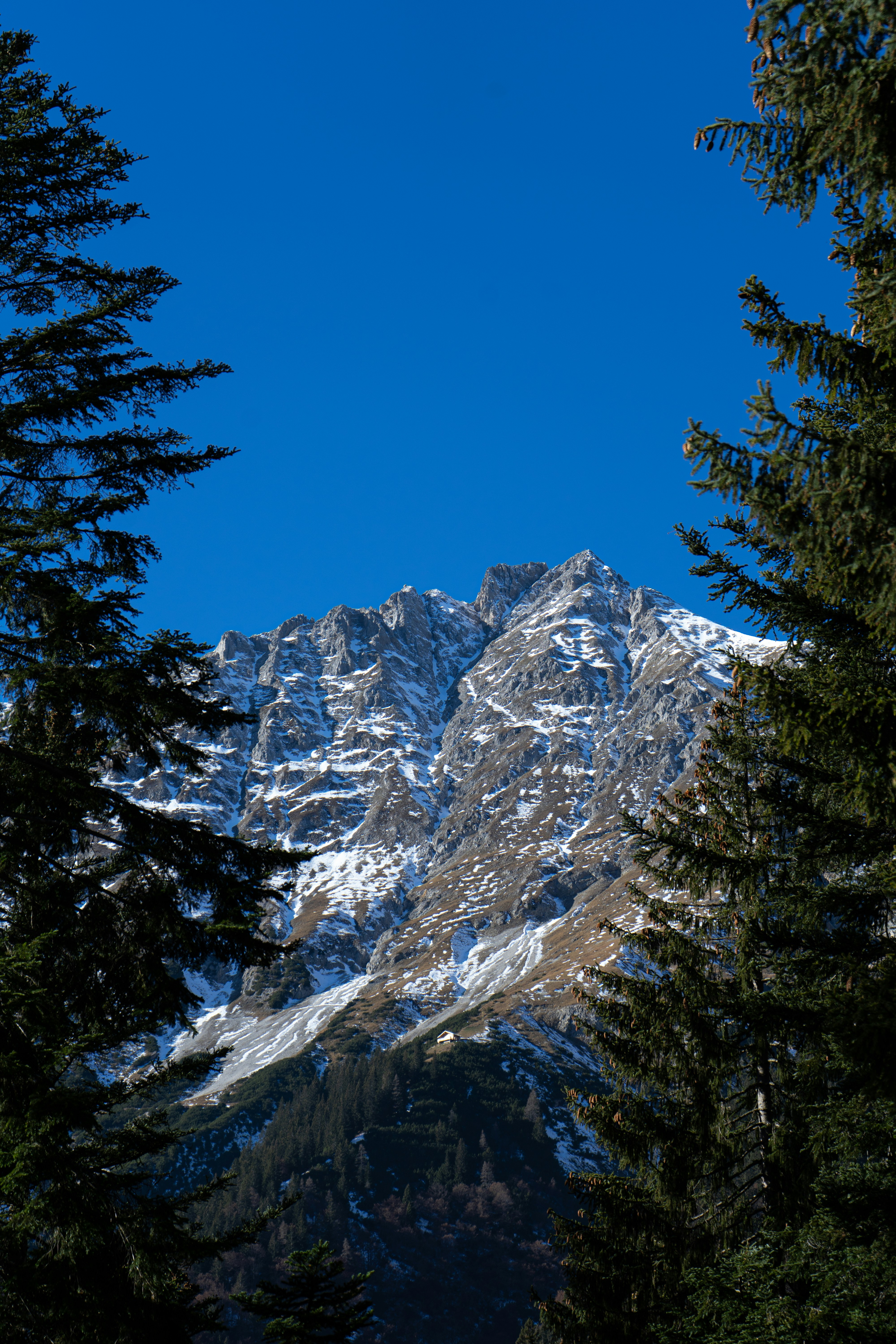 Photo by andreiamza2000