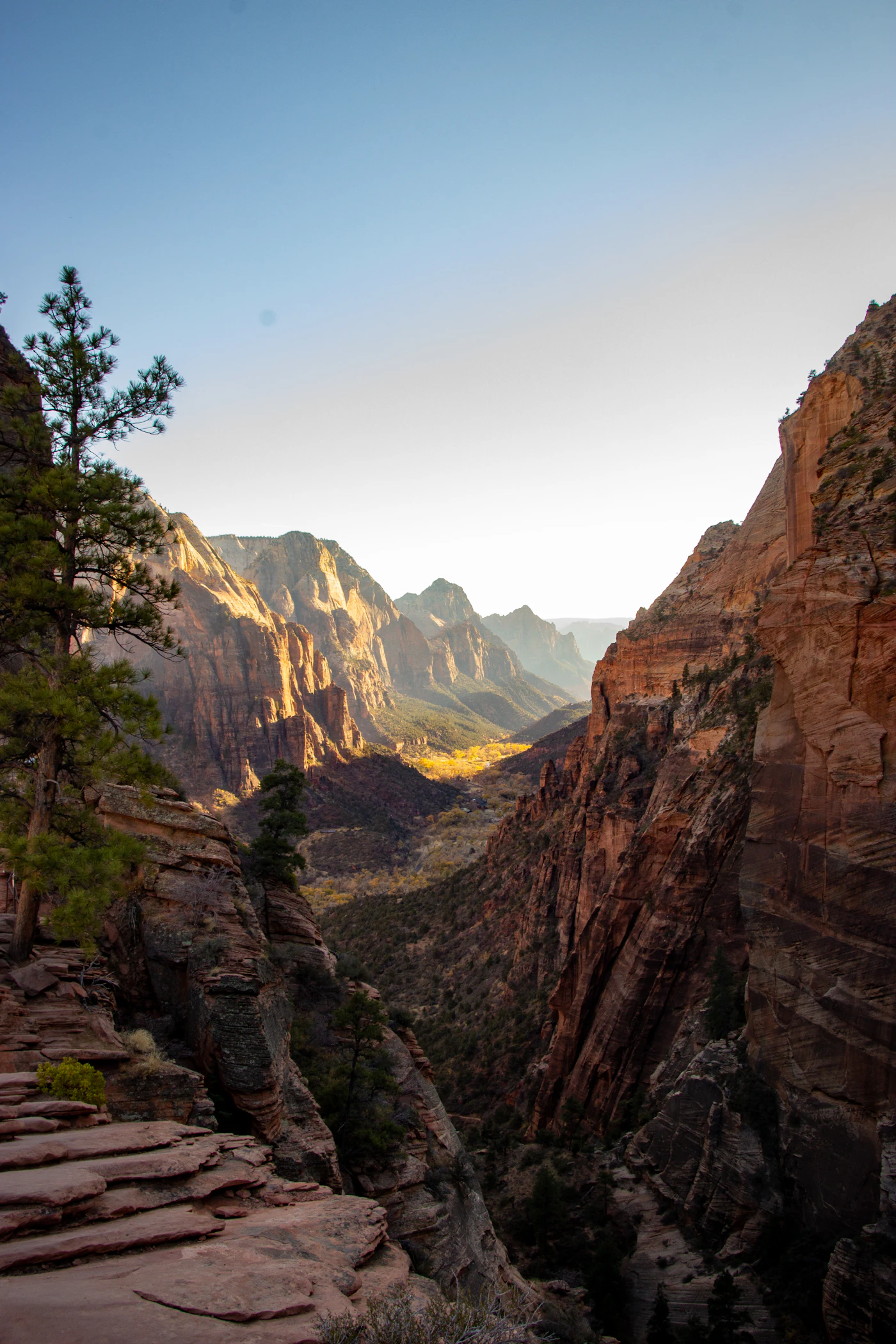 Towering red rock canyon walls rising steeply on both sides of a valley in Zion National Park