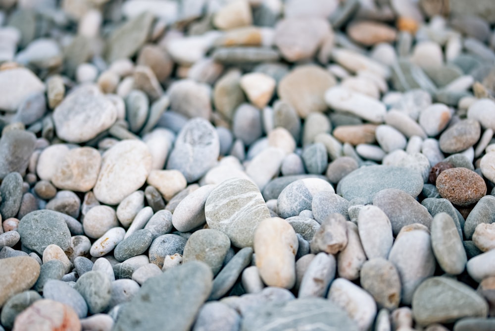 gray and white stones on gray sand