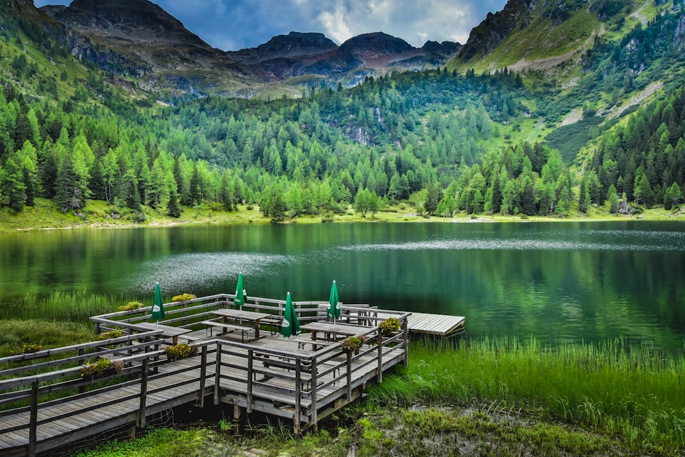 brown wooden dock on lake near green trees and mountain during daytime