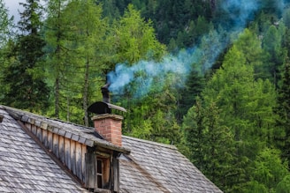 brown wooden house near green trees during daytime