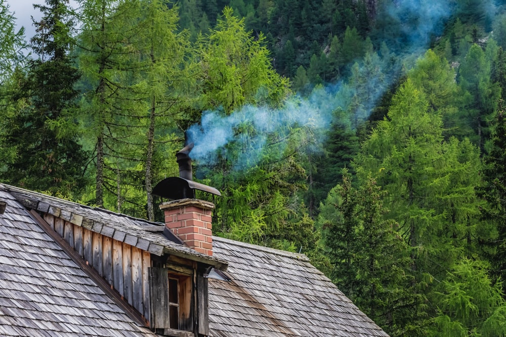 Braunes Holzhaus in der Nähe von grünen Bäumen tagsüber