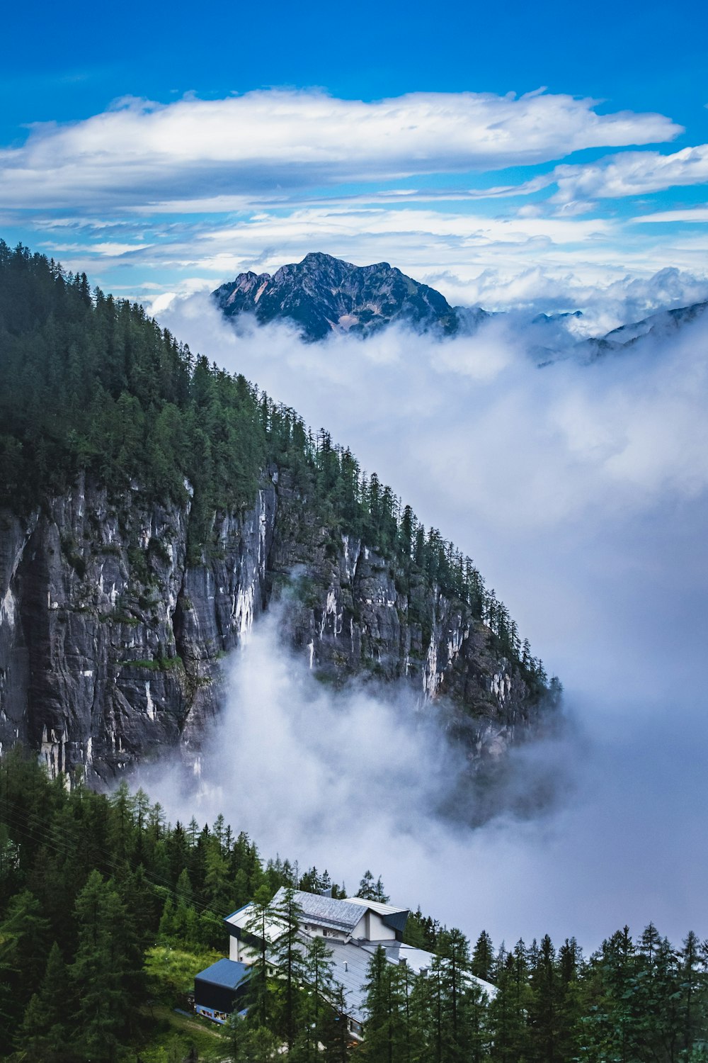 green trees on mountain under white clouds during daytime