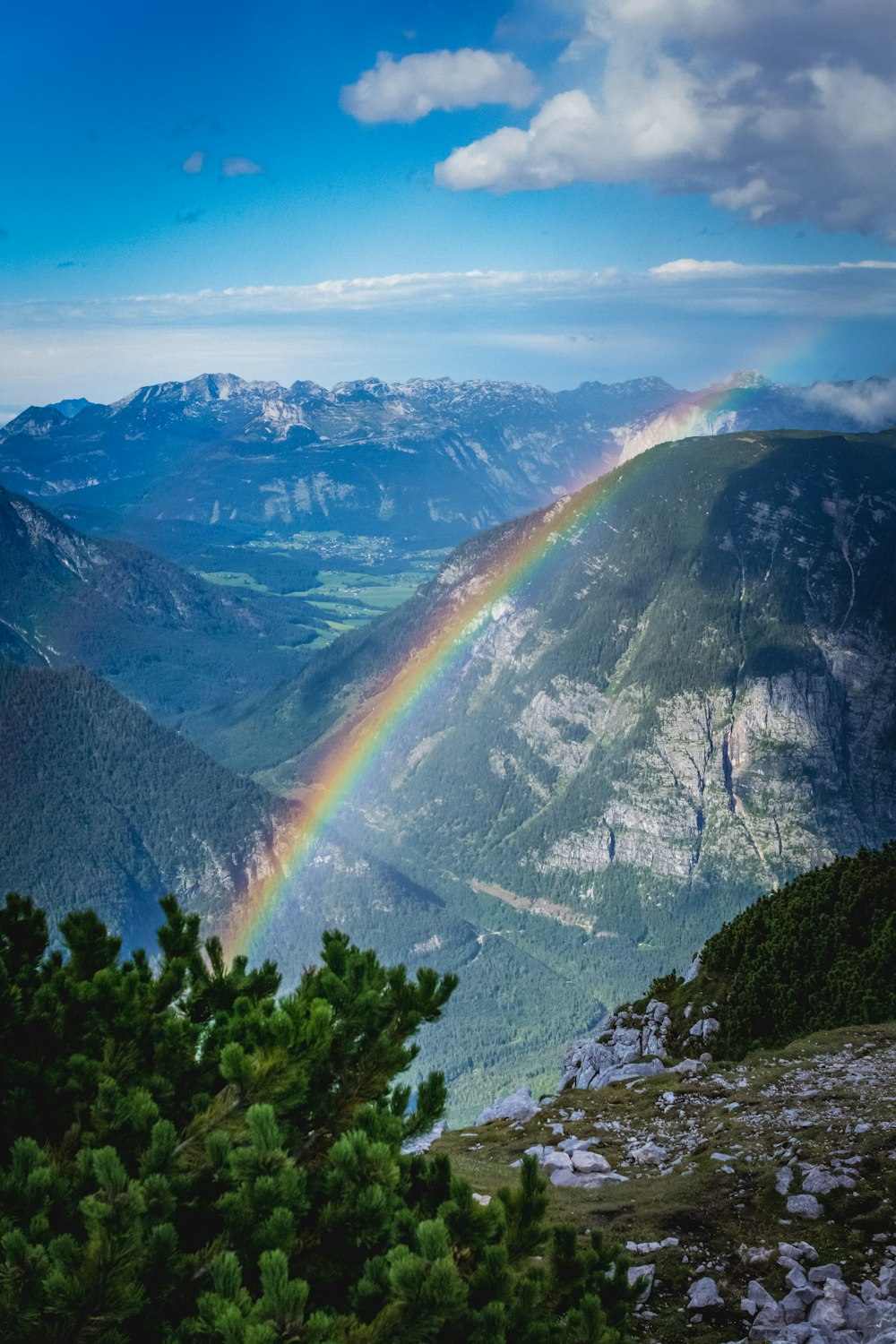 Grüne Bäume am Berg unter blauem Himmel tagsüber