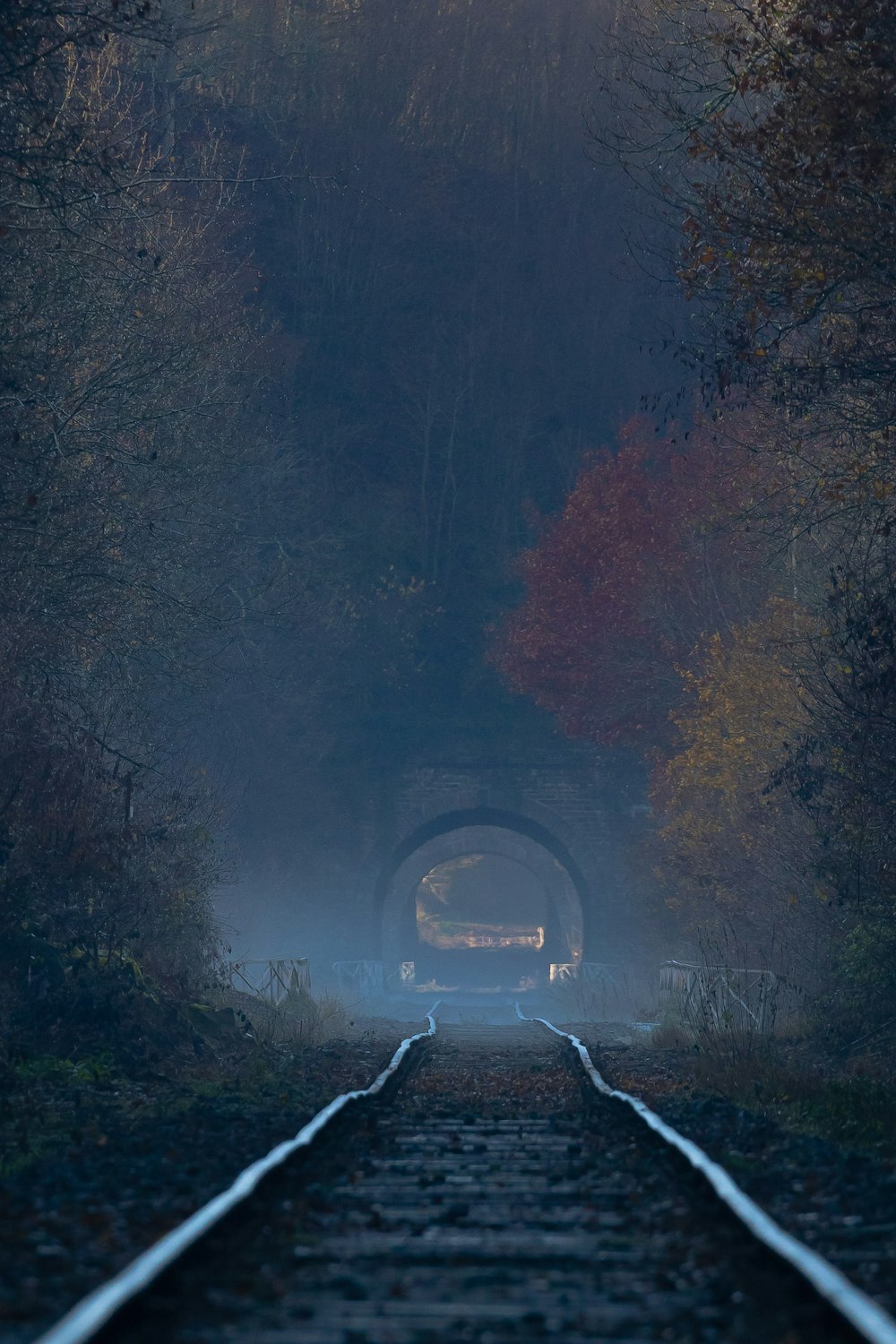 black tunnel in the middle of the forest