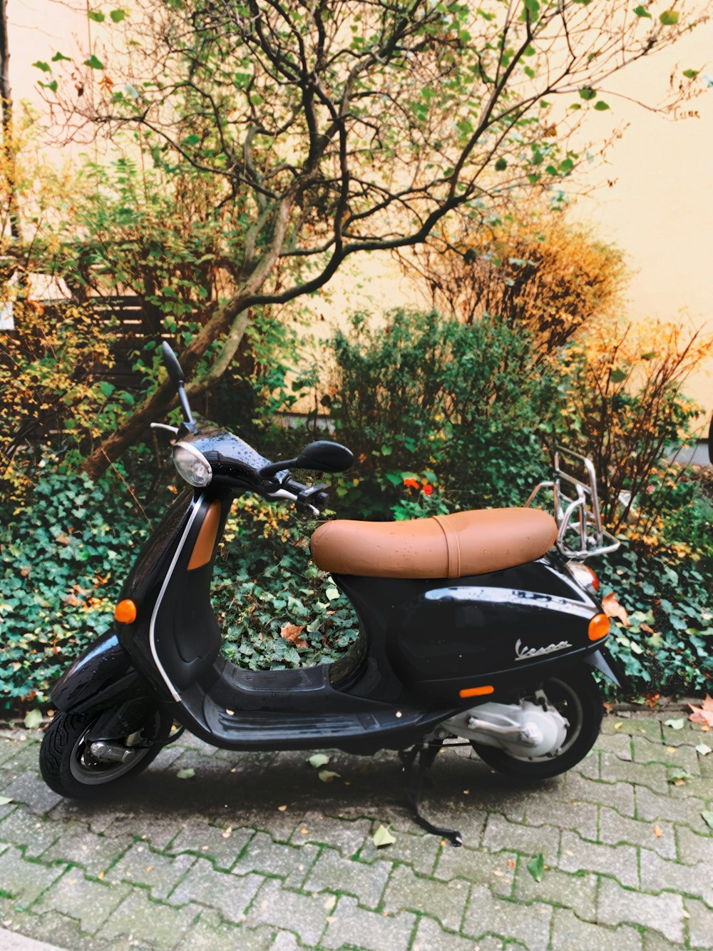 black and red motor scooter parked near brown trees during daytime