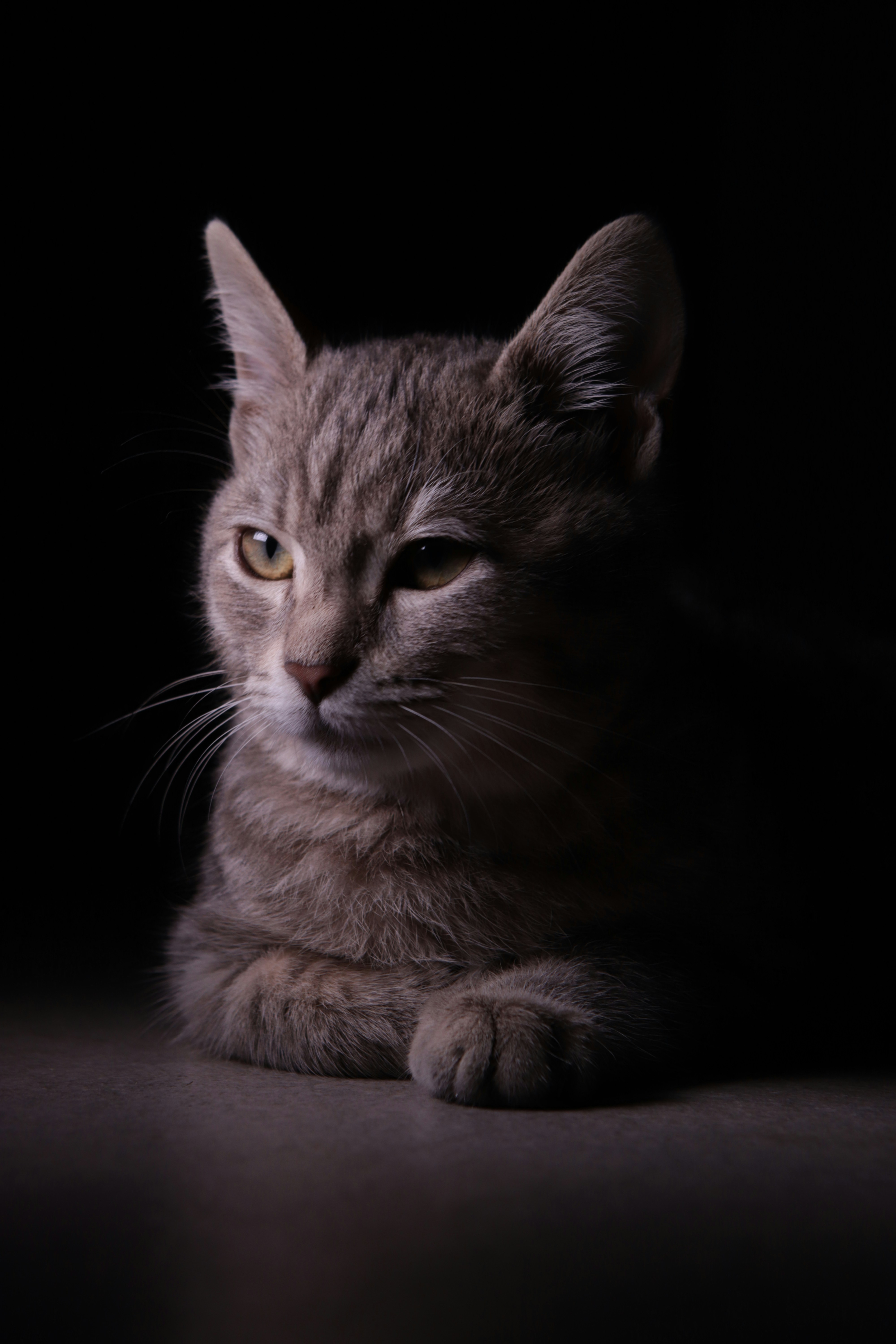 Photo by marcobadiello