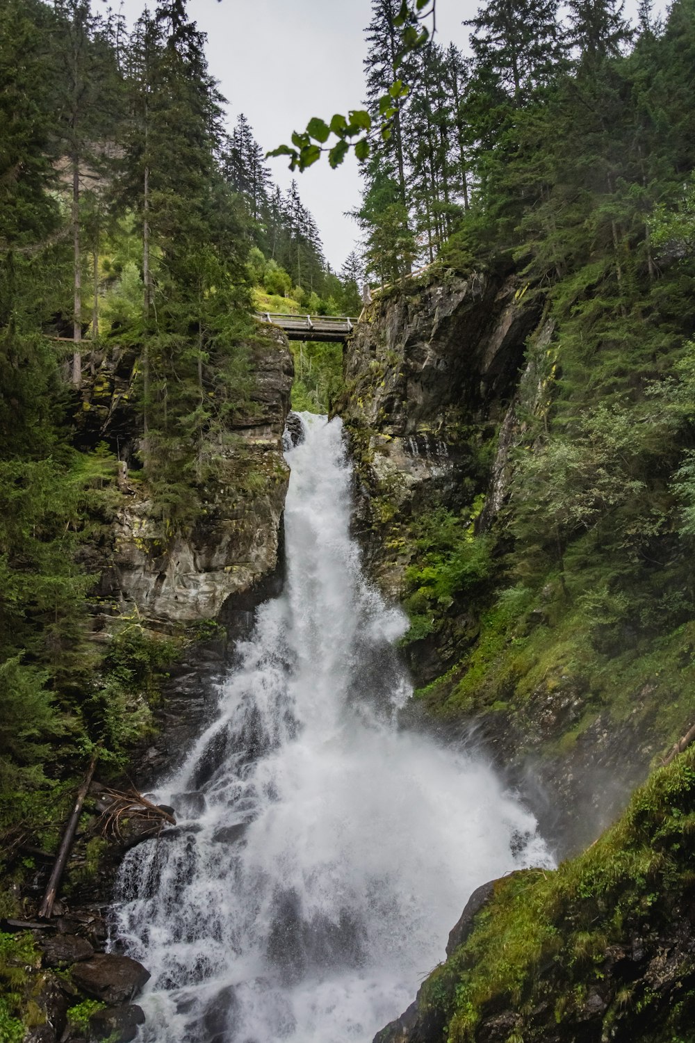 waterfalls in the middle of the forest