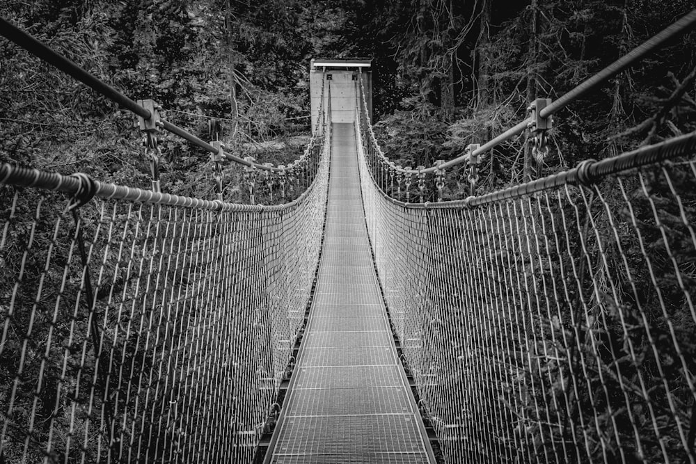 grayscale photo of hanging bridge
