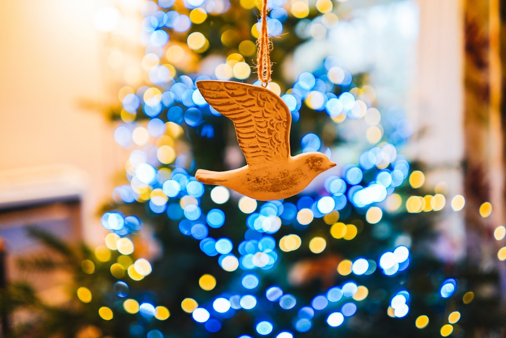 brown star hanging ornament in bokeh photography