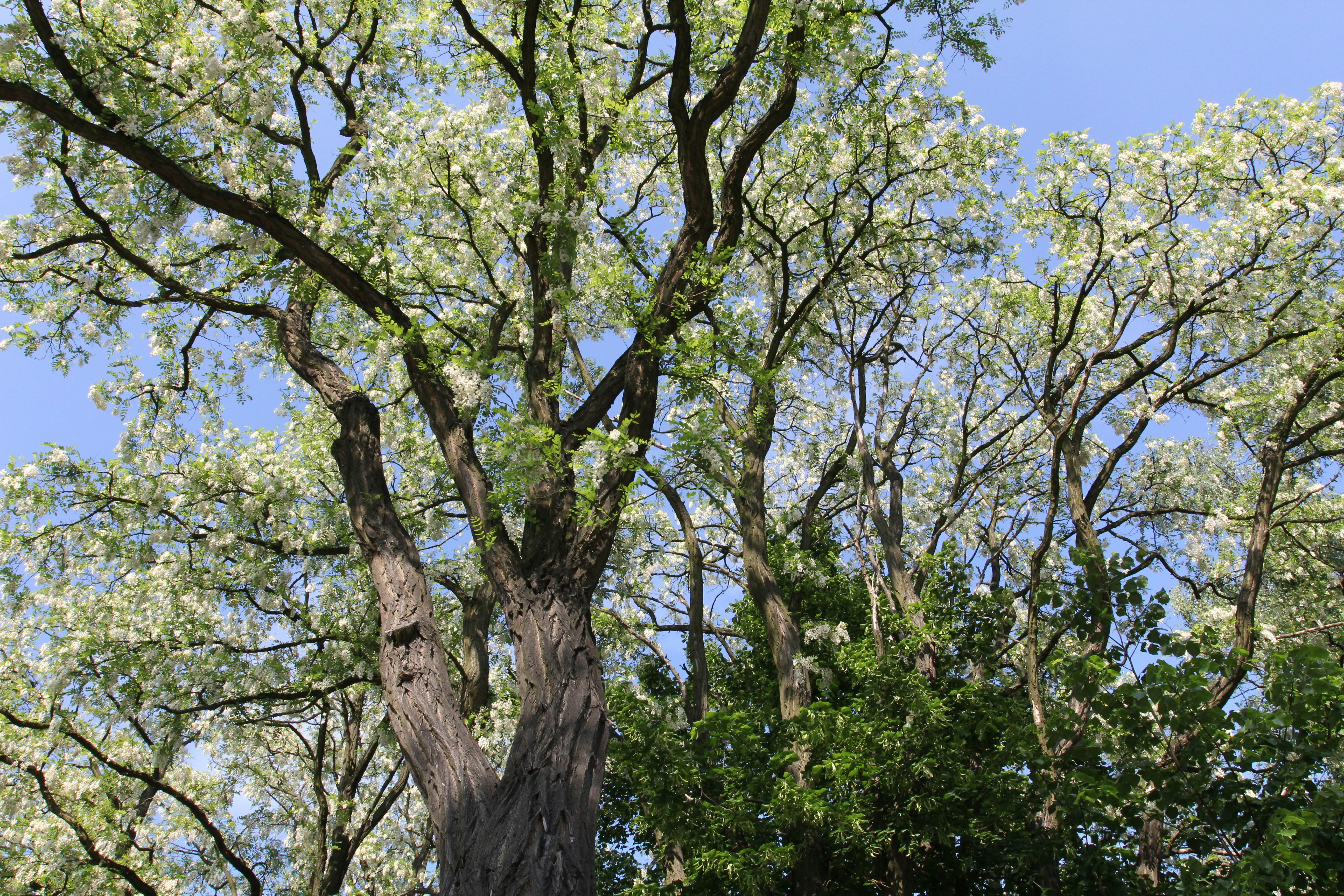 Photo by kowal4nature