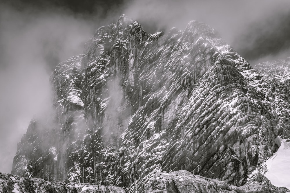 grayscale photo of snow covered trees