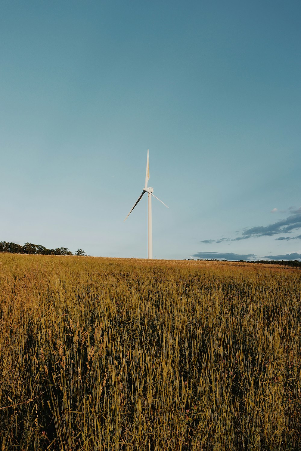 white wind turbine on brown grass field under blue sky during daytime