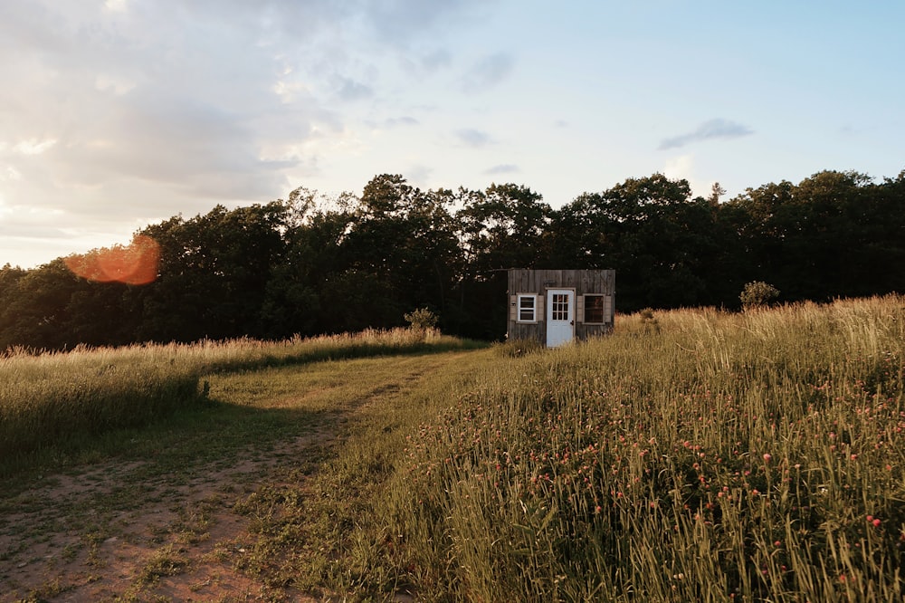 white and brown house surrounded by green grass field