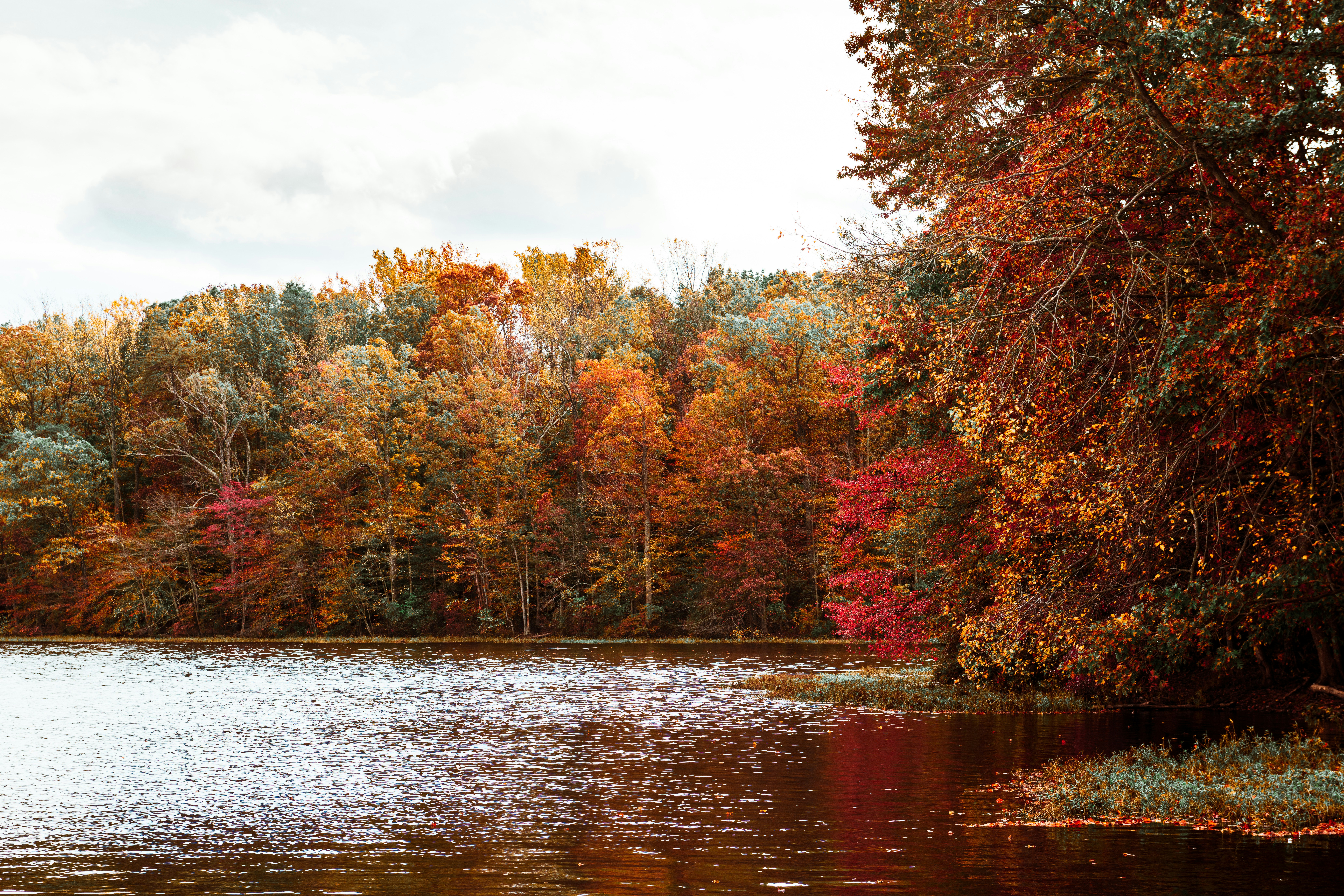 Photo by sriniunsplash