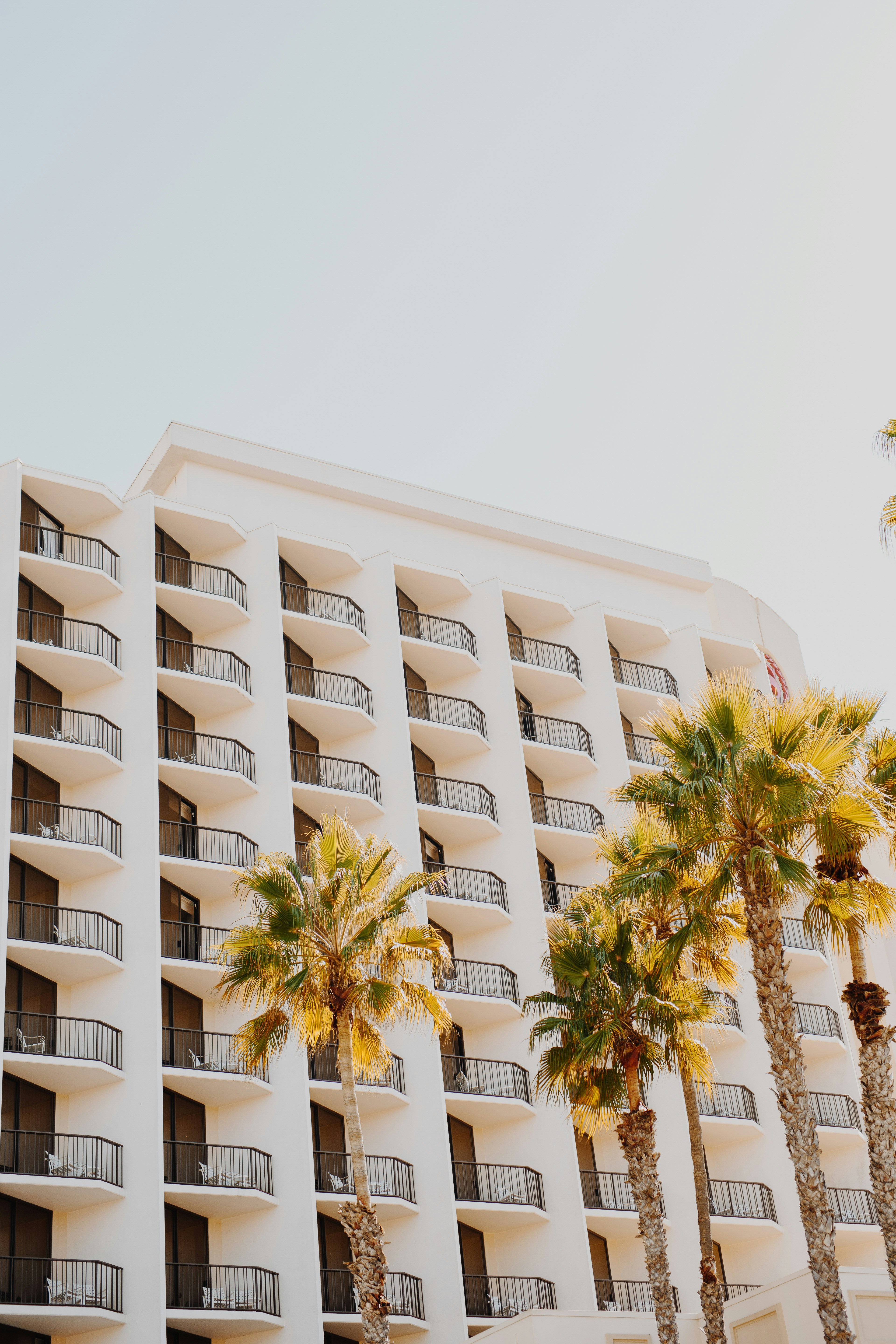 Photo by michaelxdemarco