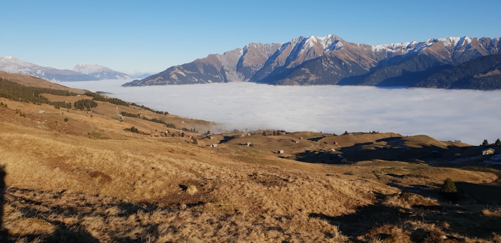 brown field near snow covered mountain during daytime