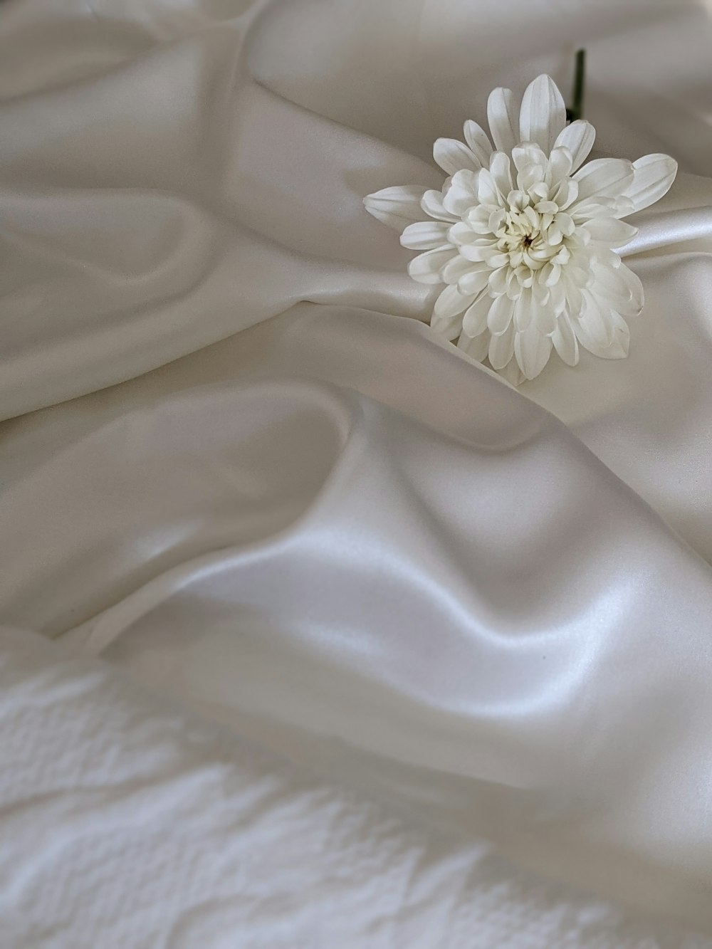 white flower on white textile