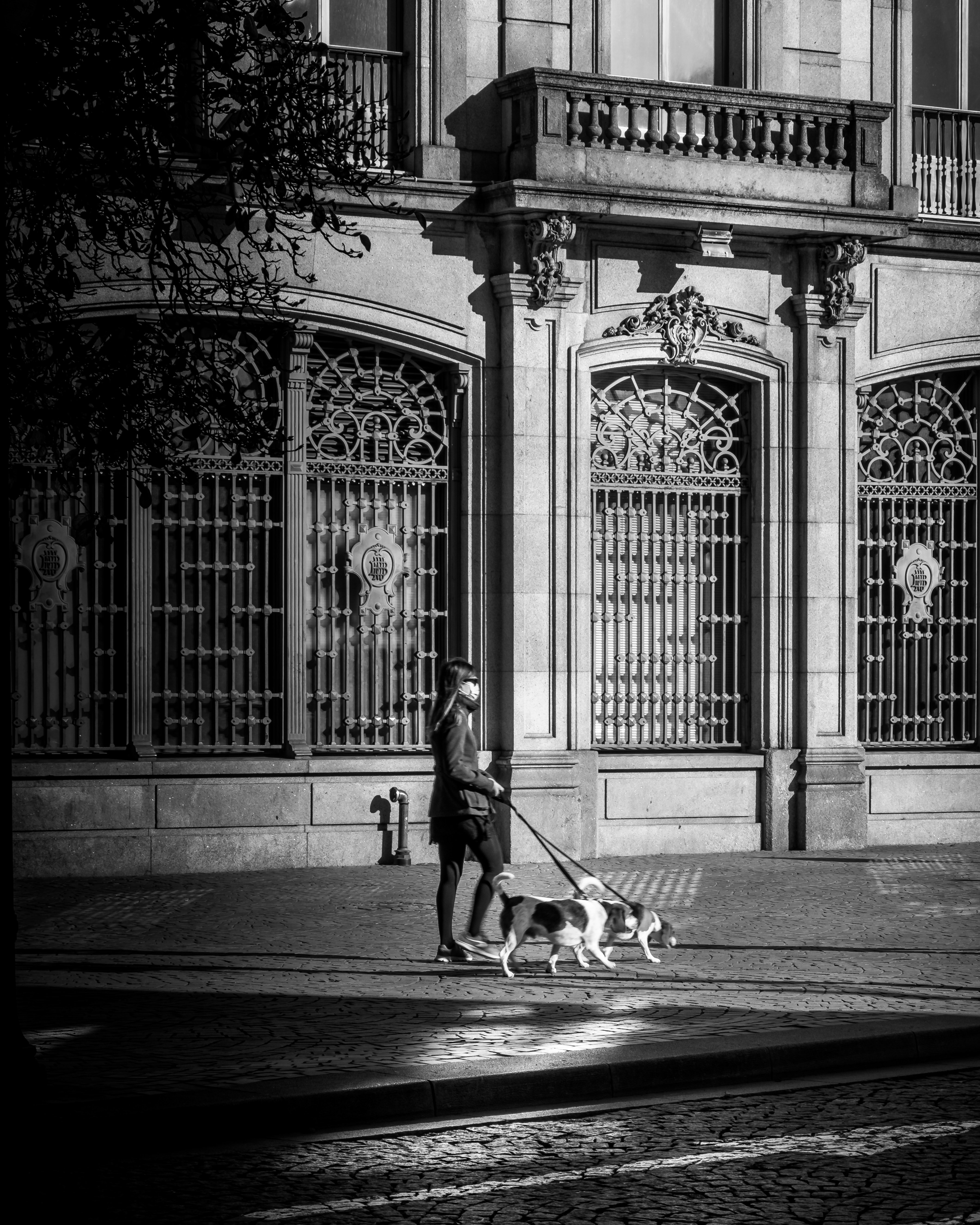 Photo by j_paulo_mag